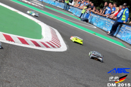 2015 LRP HPI Challenge DM